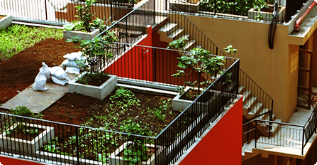 community_Rooftop Garden