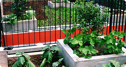 rooftop_garden